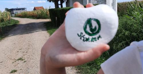 zomerspeurtocht gezinsbond stokkem
