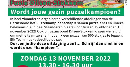 Puzzelactiviteit